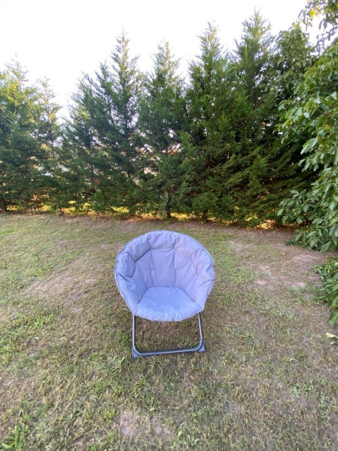 Au Paradis D'Alsace 55 M2 Nature & Relax Ingwiller Ngoại thất bức ảnh