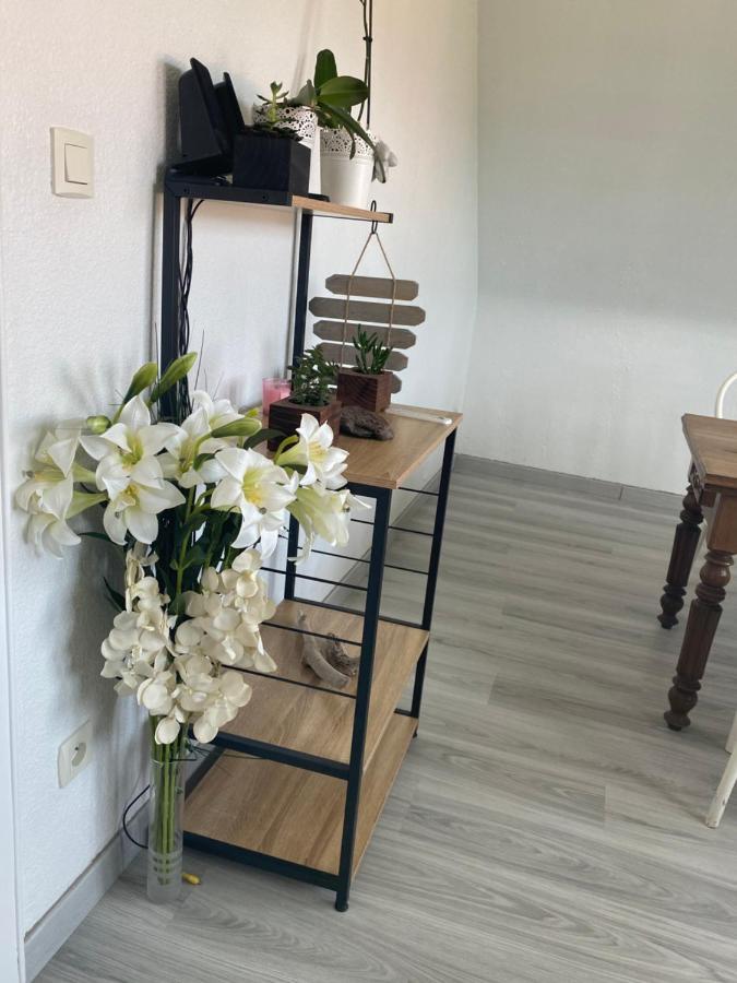 Au Paradis D'Alsace 55 M2 Nature & Relax Ingwiller Ngoại thất bức ảnh