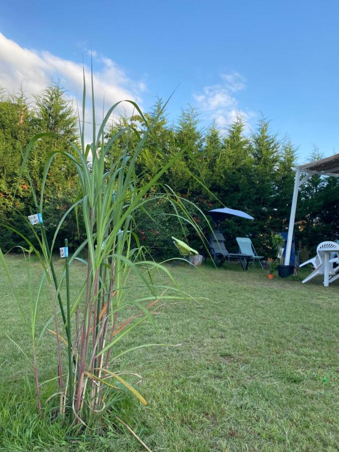 Au Paradis D'Alsace 55 M2 Nature & Relax Ingwiller Ngoại thất bức ảnh